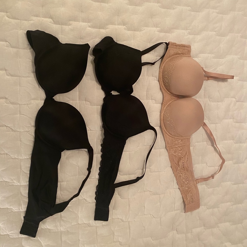 Torrid Bras